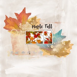 Montreal Fall