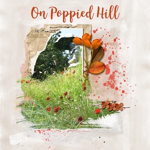 On Poppied Hill