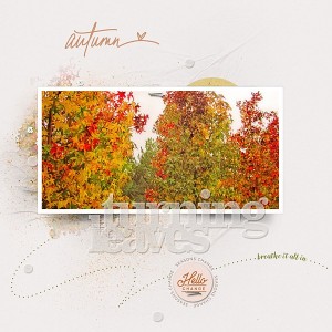 Turning Leaves