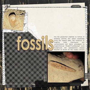 10062016-fossils-copy
