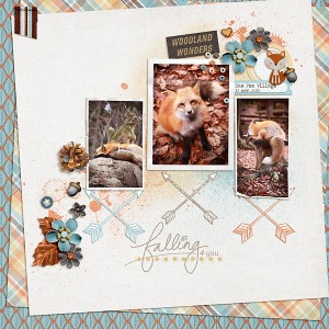 Zao Fox Village 2