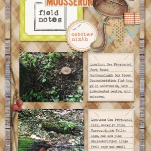 Field Notes