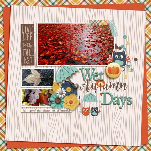 Wet Autumn Days