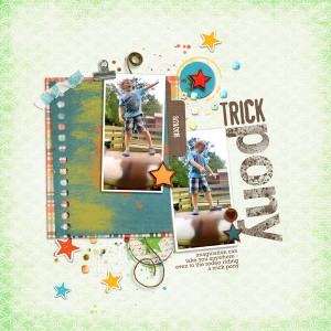 Trick Pony