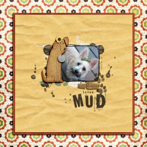 mud