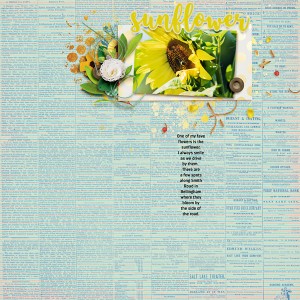 Sunflower