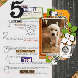 5 fun things we've learned about Toby (so far)