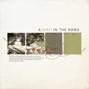 A Bird In The Hand