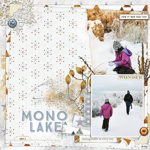 Mono Lake