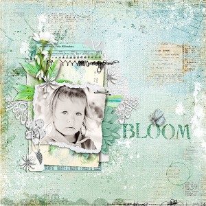 Bloom