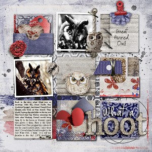 What a HOOT  (Oct. Dawn Inskip's Blog  Challenge)