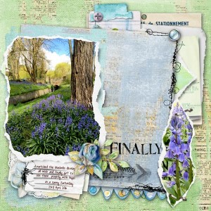 Bluebells-Dawn