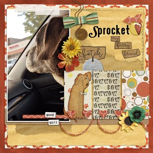 Sprocket