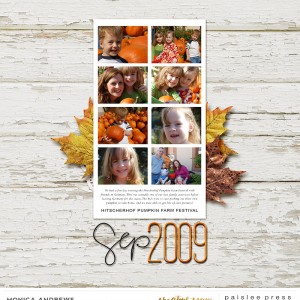 Pumpkin Farm Festival