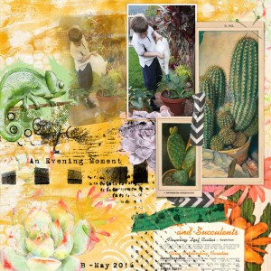 desert blooms- Paula's b'day sale!
