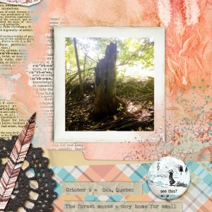Hollow Tree