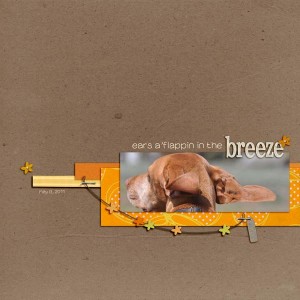 breeze