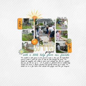 Our Summer Project