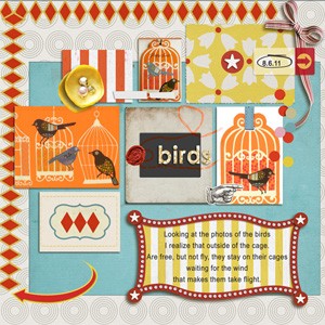 Birds