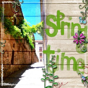 Spring time 2011