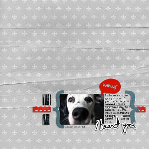 Woof