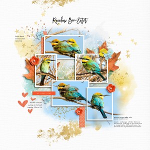 Rainbow Bee-Eaters