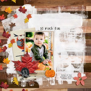 Pumpkin Patch