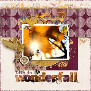 Life Is Wonderfall