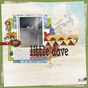 Little Dove - Web