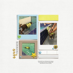 2016-oct-photography