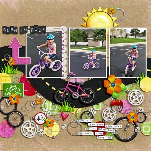Born to Ride