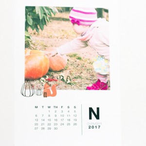 2017 Calendar Nov