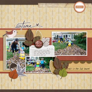 2016-10-18-fall-leaves