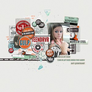 Driver