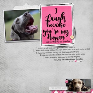 I Laugh Because You're My Human.....
