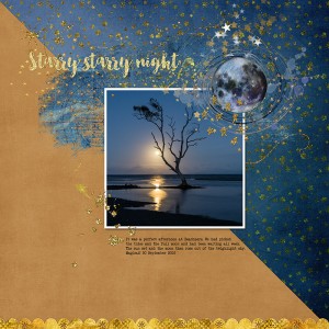 Starry starry night