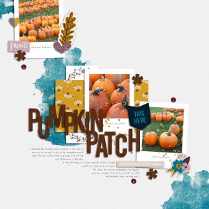 Pumpkin Patch 2016