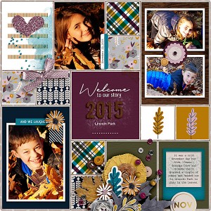 2015 Welcome To Our Story