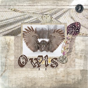 Owls