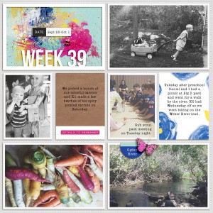2016 week 39 - left side