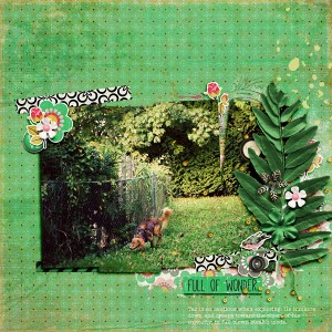 Fullofwonder-copy