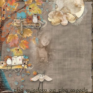 The Wisdom of the Woods