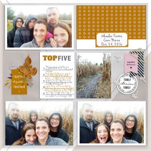 2016 Corn Maze