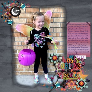 Butterfly Fairy