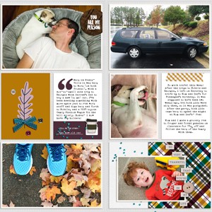 November 2 - November 8, 2015 (Full Layout)