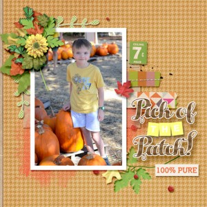 pick of patch