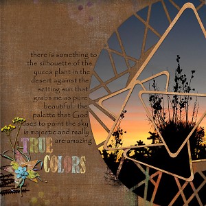 11012016-true-colors-by-Dawn-Inskip