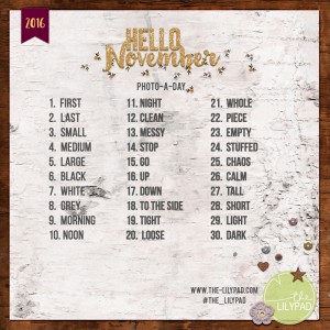 November Photo-a-Day