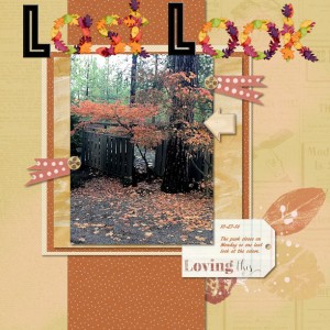 Last Look