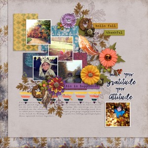 Attitude of Gratitude